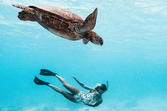 Private Boat Tour of Moorea Lagoon - The Itinerary Breakdown