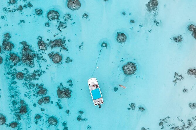 Private Boat Tour of Moorea Lagoon - Practical Details and Tips