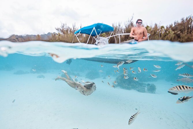 Private Boat Tour of Moorea Lagoon - Why You Should Consider It