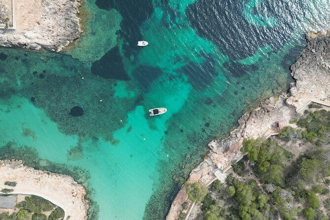 Private Boat Tour of San Antonio with Paddel surfing and Snorkeling - The Value Proposition