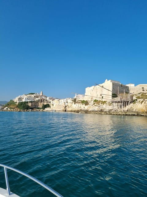 private-boat-tour-of-the-coast-with-swimming-stop