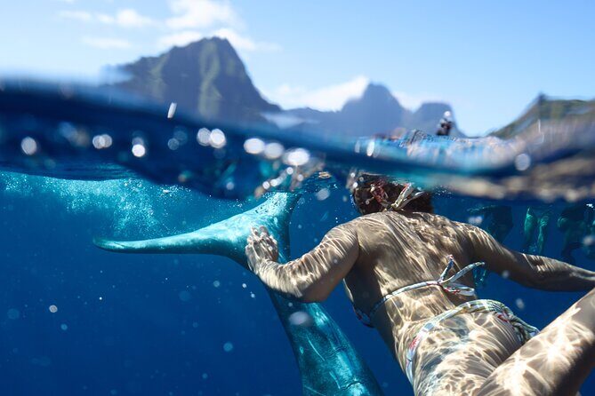 Private boat tour to swim with whales and sharks - Who Is This Tour Best Suited For?