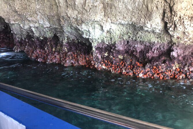 Private boat tour with prosecco and fresh fruit - Practical Tips for Booking and Participating