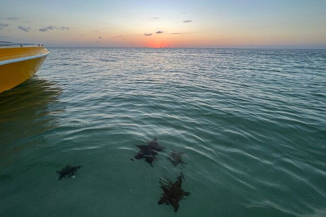 private-boat-tours-customize-your-grand-cayman-adventure