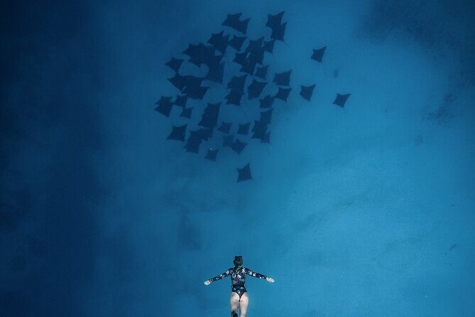 Private Boat Tours on Moorea Lagoon - Final Thoughts: Is It Worth It?