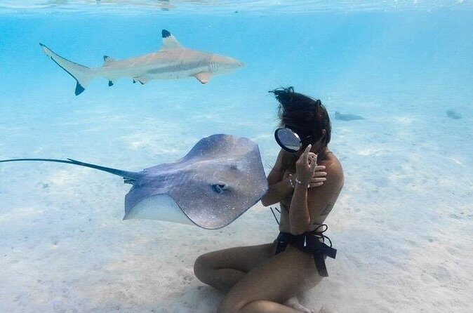 Private Boat Tours on Moorea Lagoon - Frequently Asked Questions