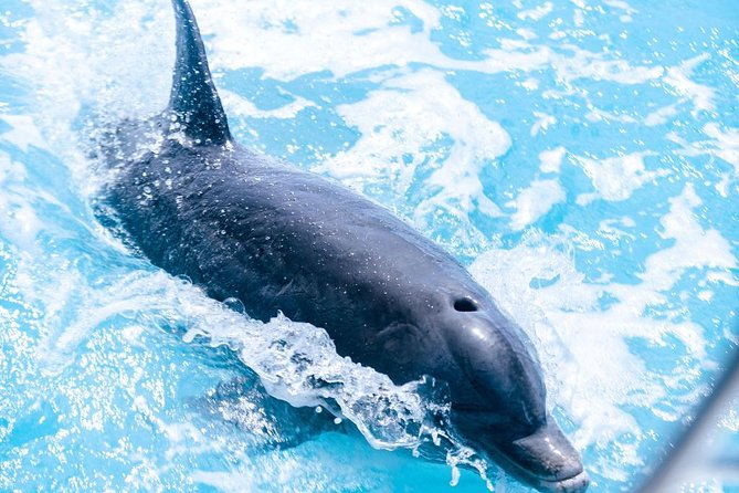 private-boat-tours-to-outer-islands-snacks-drinks-snorkel-cruise