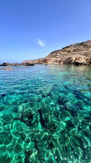 Private Boat Trip Playa de Palma Marine Reserve - Why Choose the Private Boat Trip in Playa de Palma Marine Reserve?