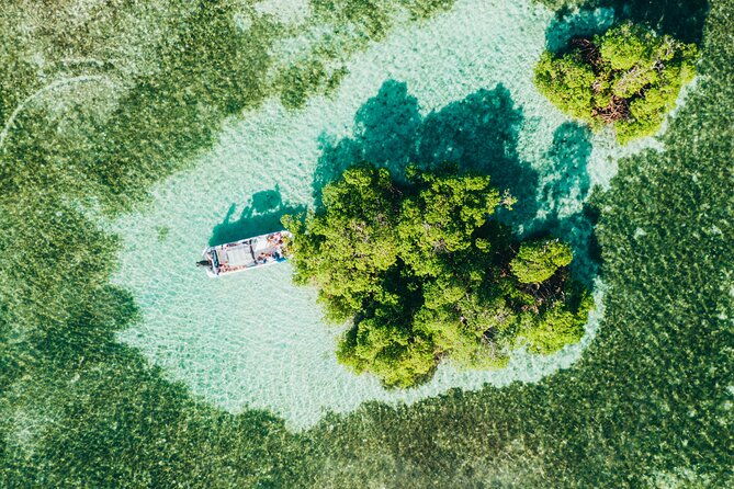 private-boat-trip-with-guide-on-the-most-beautiful-lagoon-of-guadeloupe