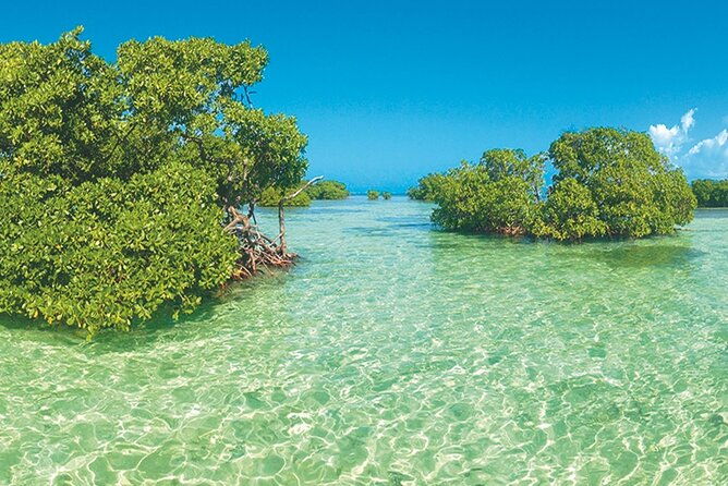 private-boat-trip-with-guide-on-the-most-beautiful-lagoon-of-guadeloupe