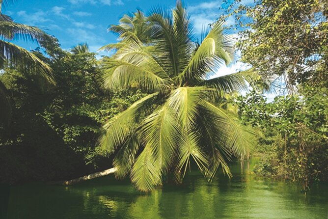 private-boat-trip-with-guide-on-the-most-beautiful-lagoon-of-guadeloupe