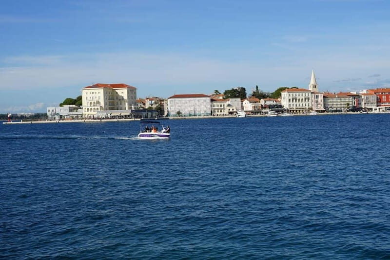 Private boat trips in Porec: Dolphin watching at sunset - Practical Details and Considerations