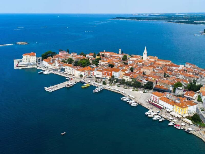 Private boat trips in Porec: dolphin watching, panoramic tour - Who Is This Tour Best For?