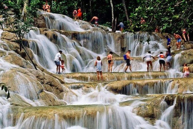 private-bob-marley-9-mile-dunnsriverfalls-tour-from-montego-bay