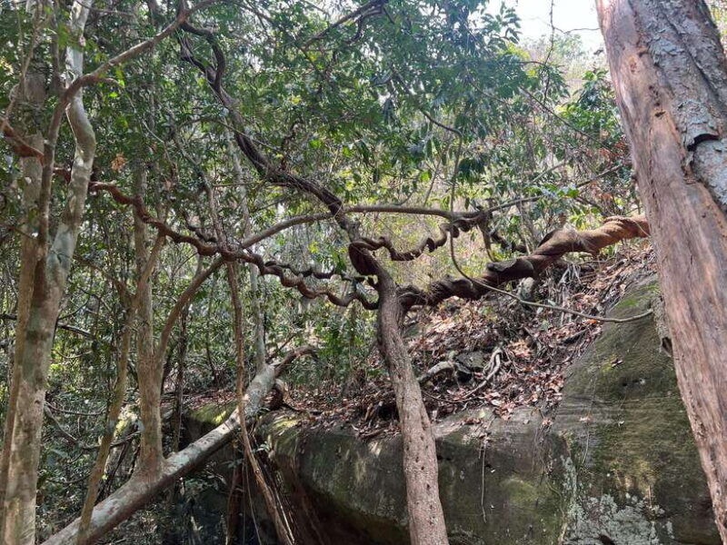 private-bonteay-srei-kbal-spean-and-beng-mealear-tour