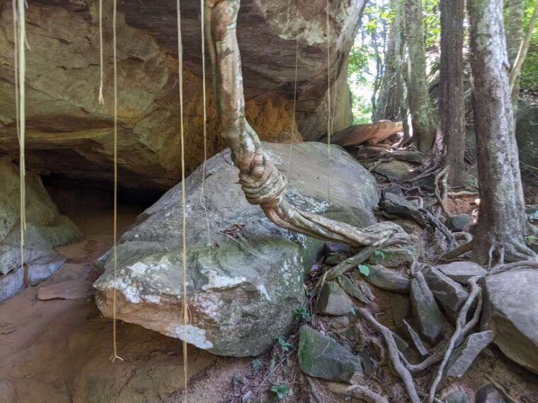 private-bonteay-srei-kbal-spean-and-beng-mealear-tour