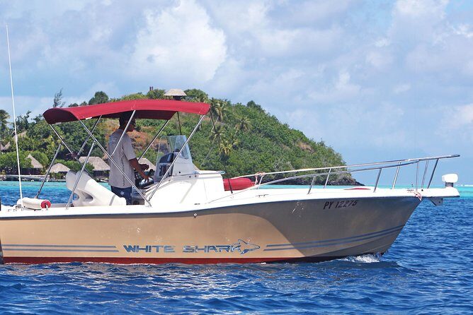 Private Bora Bora Lagoon Experience - Who Will Love This Tour?