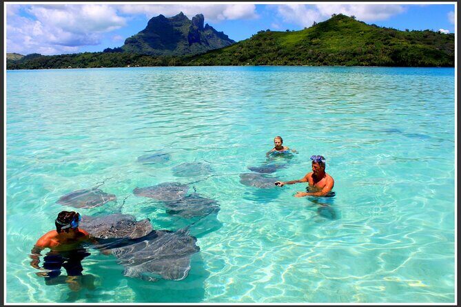 Private Bora Bora Lagoon & Water Lunch Experience - An In-Depth Look at the Bora Bora Lagoon & Water Lunch Tour