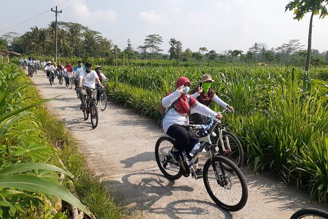 Private Borobudur Village Tour by Bike - Who Is This Tour Best Suited For?