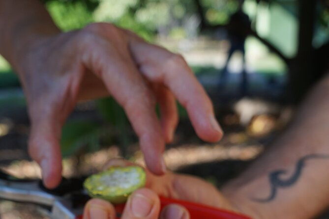 private-botanical-garden-experience-in-the-heart-of-maui