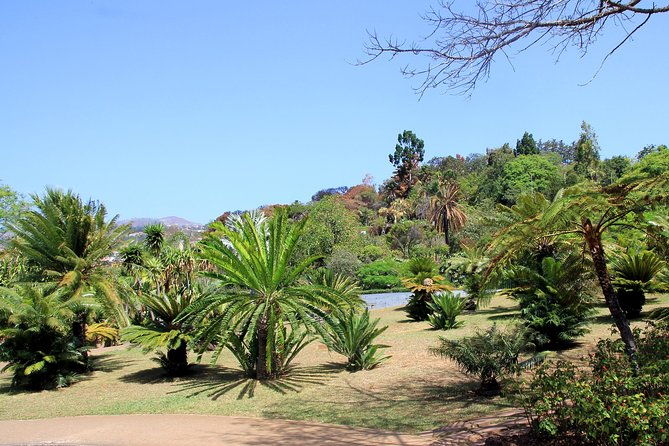 private-botanical-garden-tour