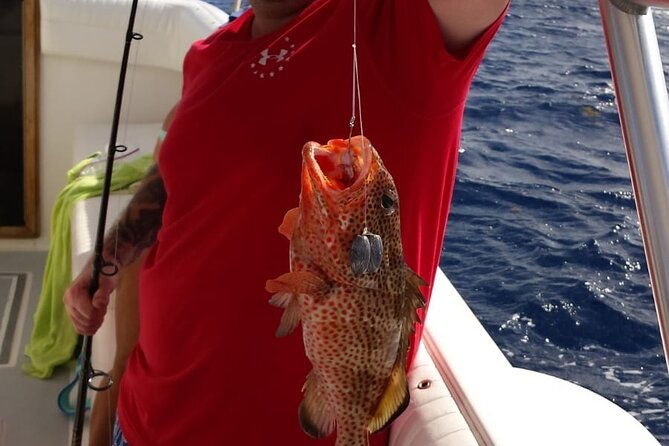 private-bottom-fishing-charter-1-2-day-morning-on-shady-grady