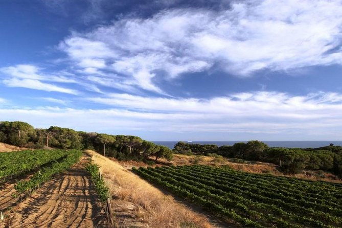 private-breakfast-winery-experience-private-wine-tasting-tour