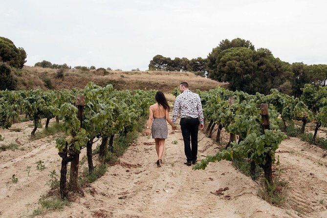 private-breakfast-winery-experience-private-wine-tasting-tour