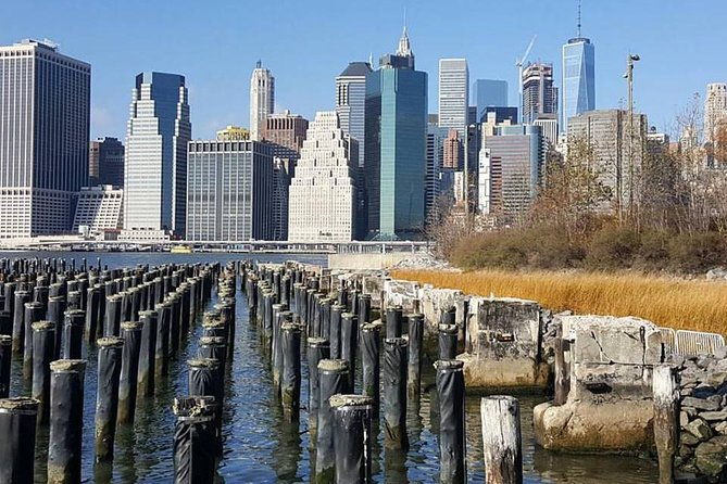 private-brooklyn-walking-tour-brooklyn-bridge-dumbo-and-brooklyn-heights