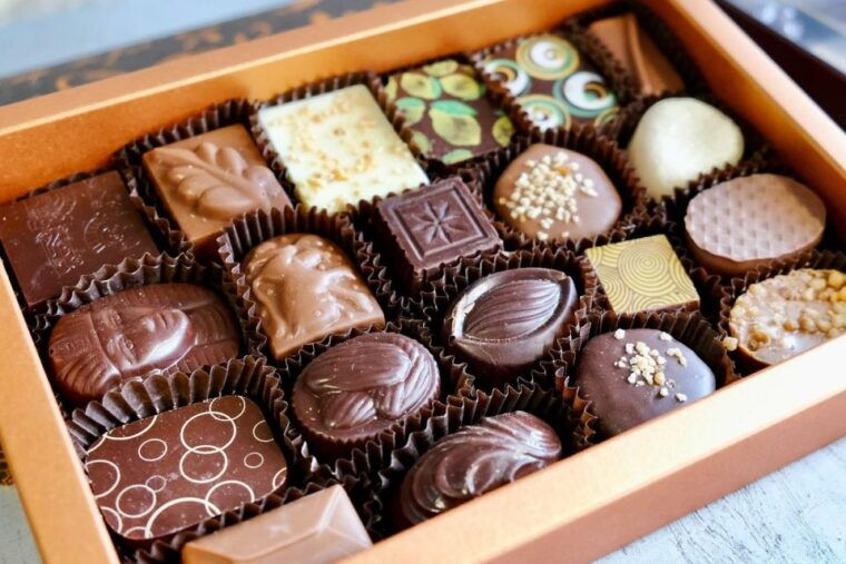 private-bruges-full-day-trip-by-mercedes-from-paris