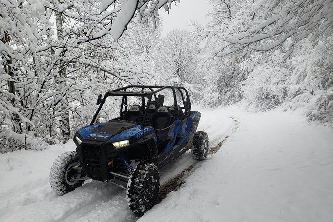 private-buggy-experience-all-seasons-in-pamporovo