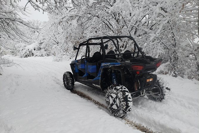 private-buggy-experience-all-seasons-in-pamporovo