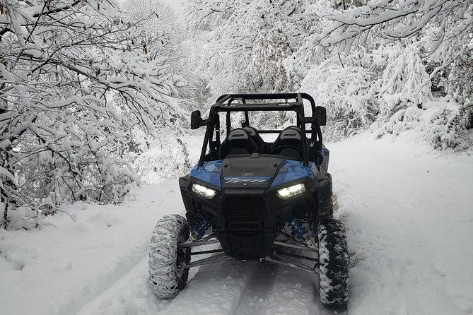 private-buggy-experience-all-seasons-in-pamporovo