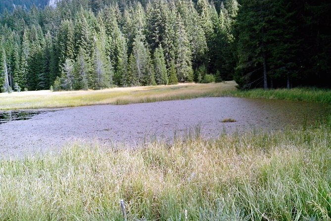 private-buggy-experience-all-seasons-in-pamporovo