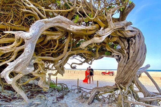 private-buggy-tour-along-the-east-coast-of-jericoacoara