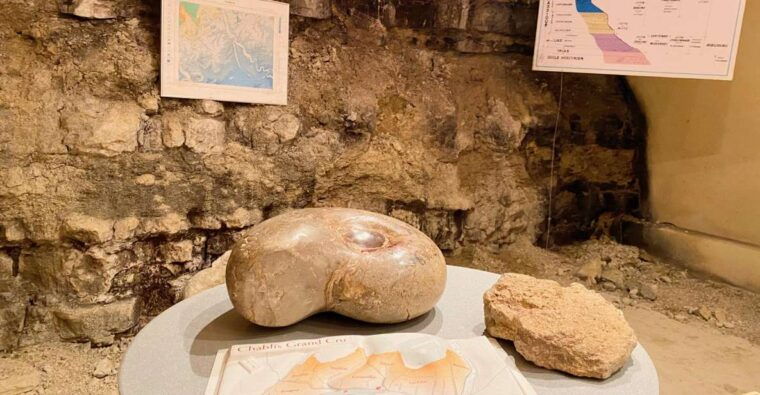 private-burgundy-3-domaines-chateau-pommard-chablis-15-wines