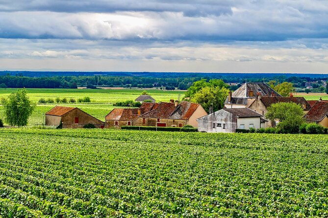 private-burgundy-3-domaines-chateau-pommard-chablis-15-wines-trip-2
