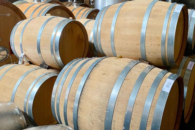 private-burgundy-4-domains-20-chablis-wines-caves-from-paris