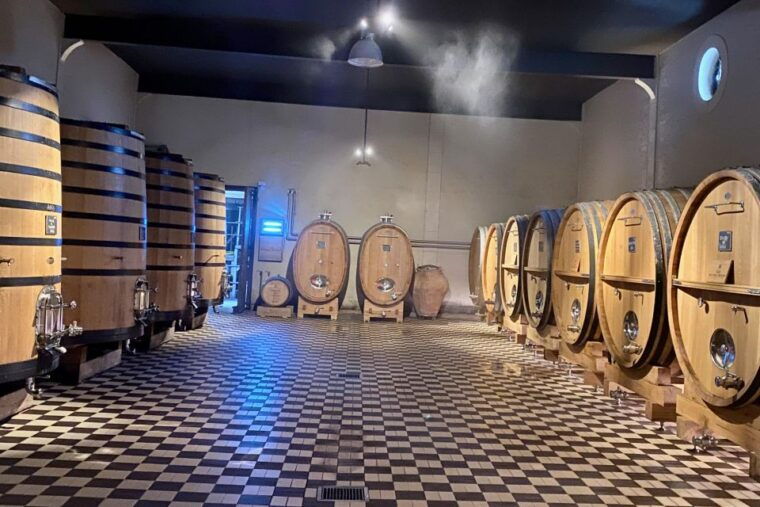 private-burgundy-4-domains-20-chablis-wines-caves-from-paris