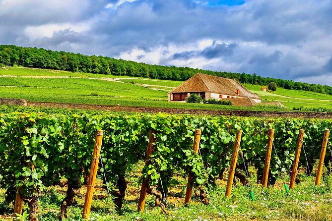 private-burgundy-4-domains-20-chablis-wines-tasting-from-paris