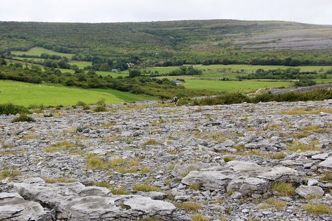 private-burren-and-cliffs-of-moher-full-day-tour