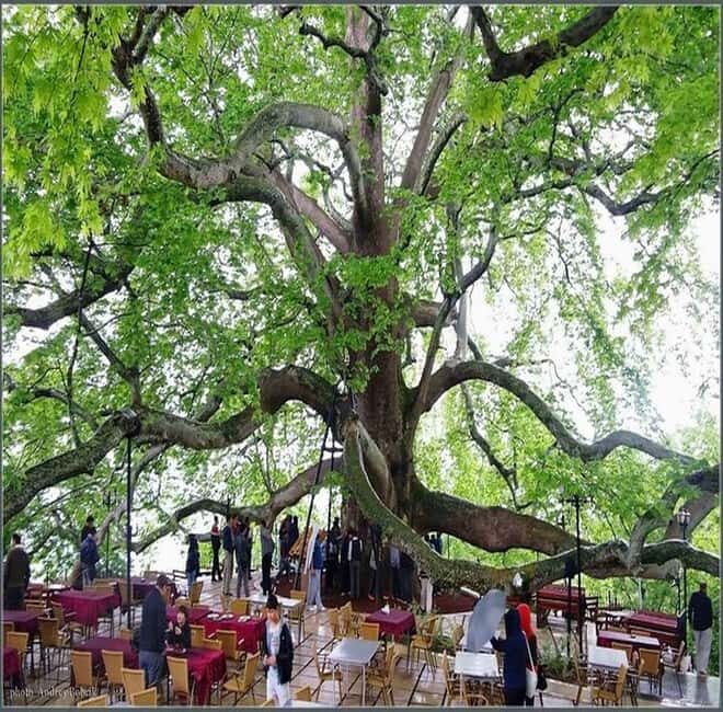 Private Bursa Tour: History, Nature & Culture from Istanbul - Key Points