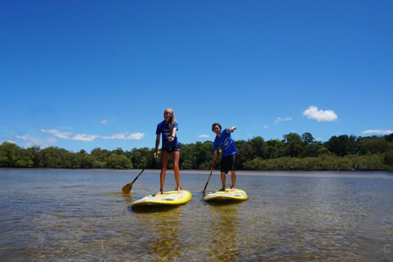 Private Byron Bay: 2-Hour Stand Up Paddle Board Nature Tour - The Experience: What You Can Expect on the Paddleboard Tour