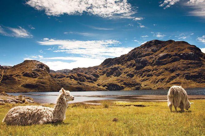 private-cajas-national-park-tour-through-cloud-forest-and-moorlands