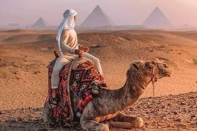 Private Camel or Horse Ride around the Giza Pyramids - An In-Depth Look at the Experience