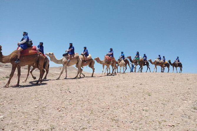Private Camel Ride in Agafay desert - Key Points