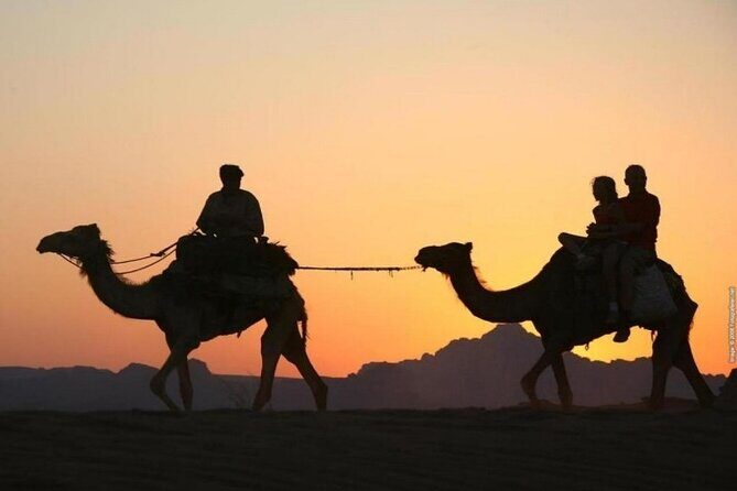 Private Camel Ride Sunset View at Wadi Rum, 30% off - Is This Tour Worth The Price?