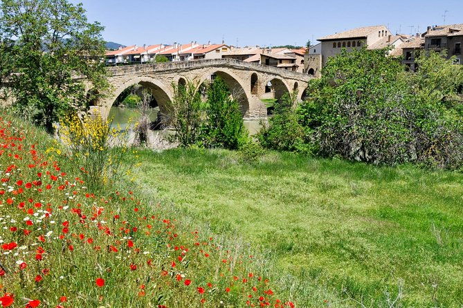 private-camino-de-santiagothe-way-of-st-james-french-way-from-sarria