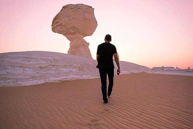 Private Camping Overnight Trip to Bahariya Oasis White Desert from Cairo - The Itinerary: What to Expect on Each Day