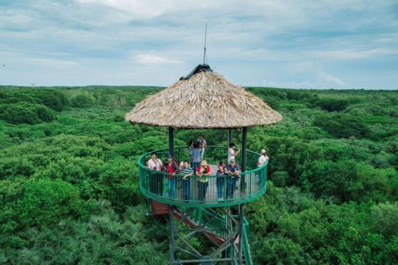 Private Can Gio Mangrove Biosphere Reserve 1 Day Tour - The Itinerary in Detail  